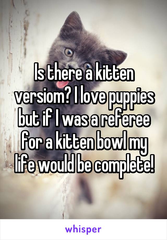 Is there a kitten versiom? I love puppies but if I was a referee for a kitten bowl my life would be complete!
