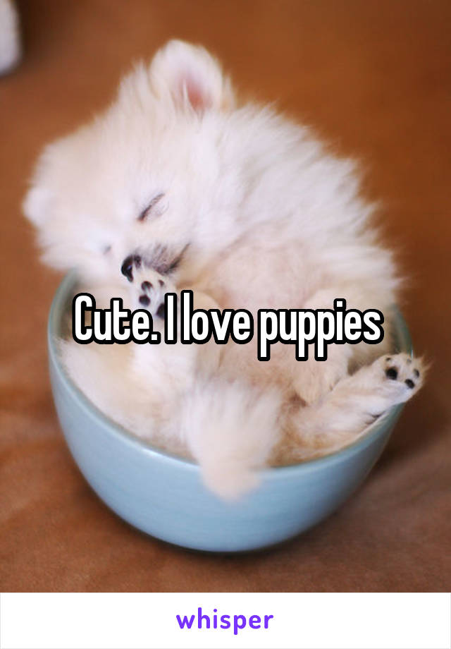 Cute. I love puppies