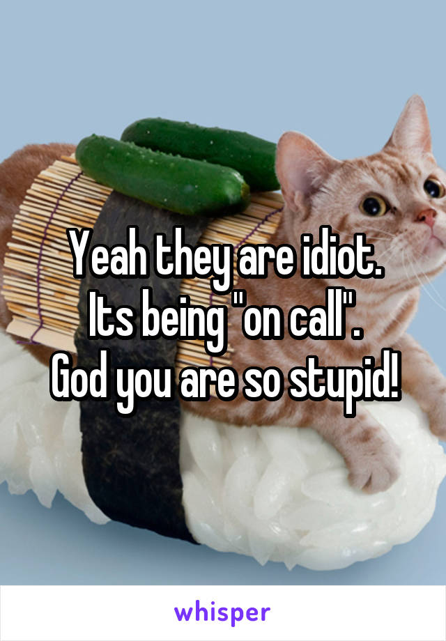 Yeah they are idiot.
Its being "on call".
God you are so stupid!