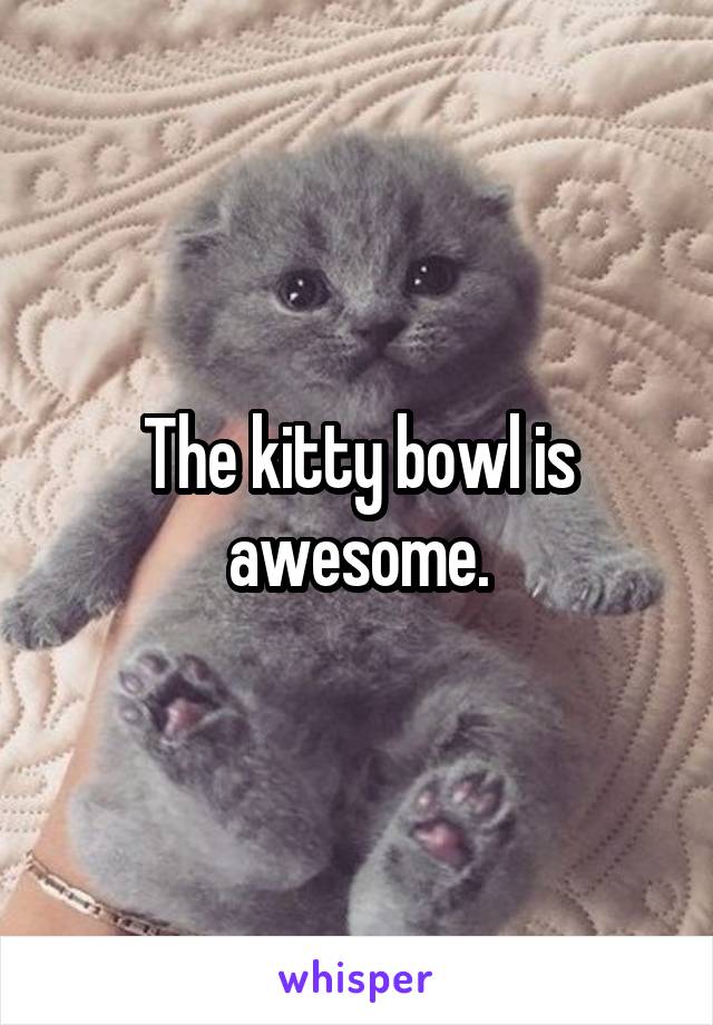 The kitty bowl is awesome.