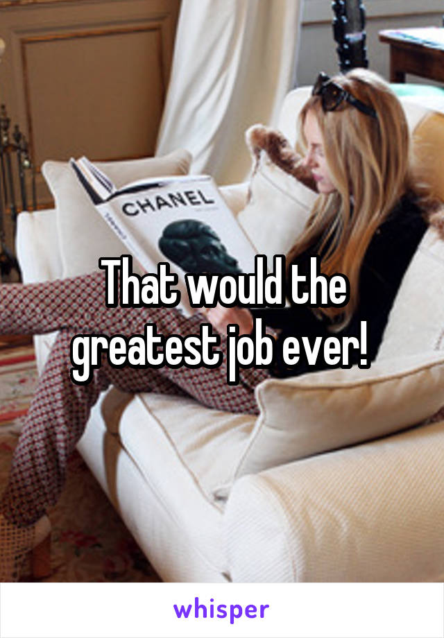 That would the greatest job ever! 