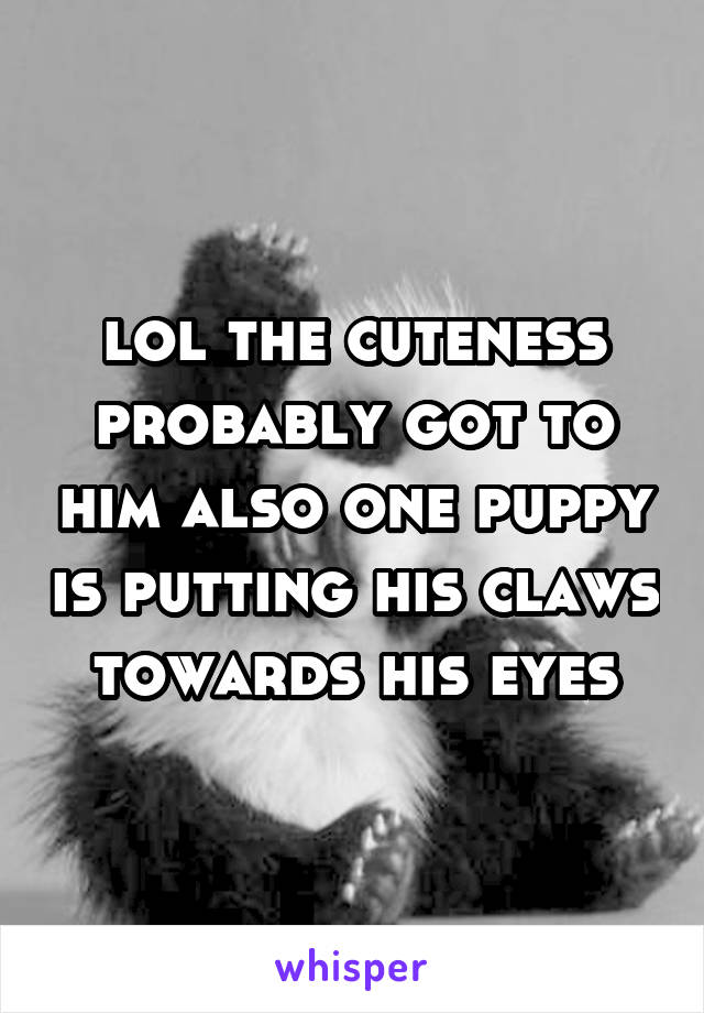 lol the cuteness probably got to him also one puppy is putting his claws towards his eyes