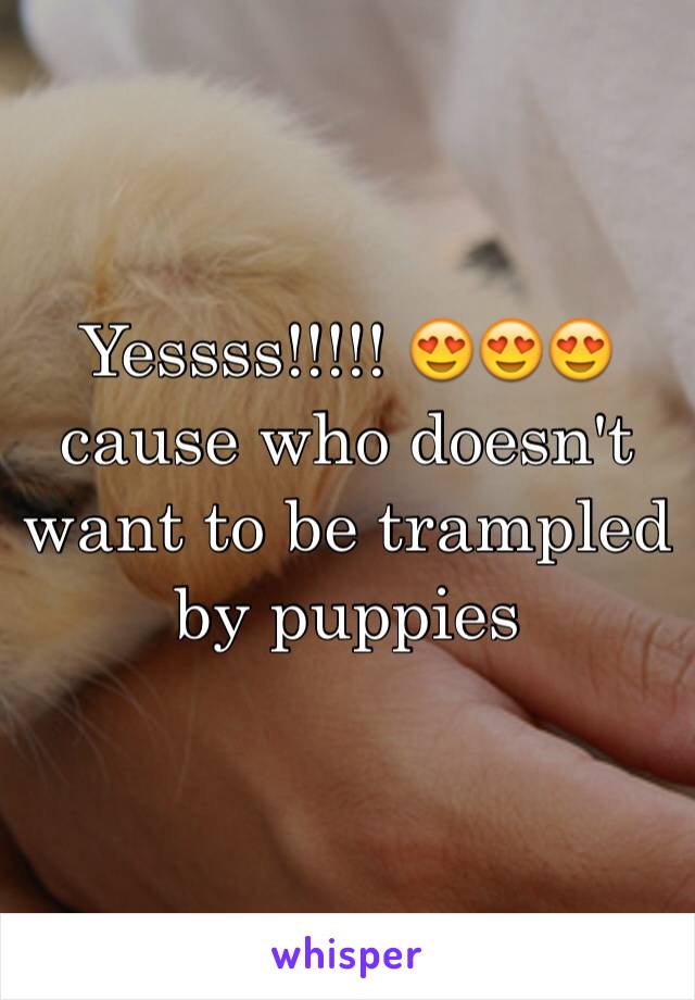 Yessss!!!!! 😍😍😍 cause who doesn't want to be trampled by puppies 