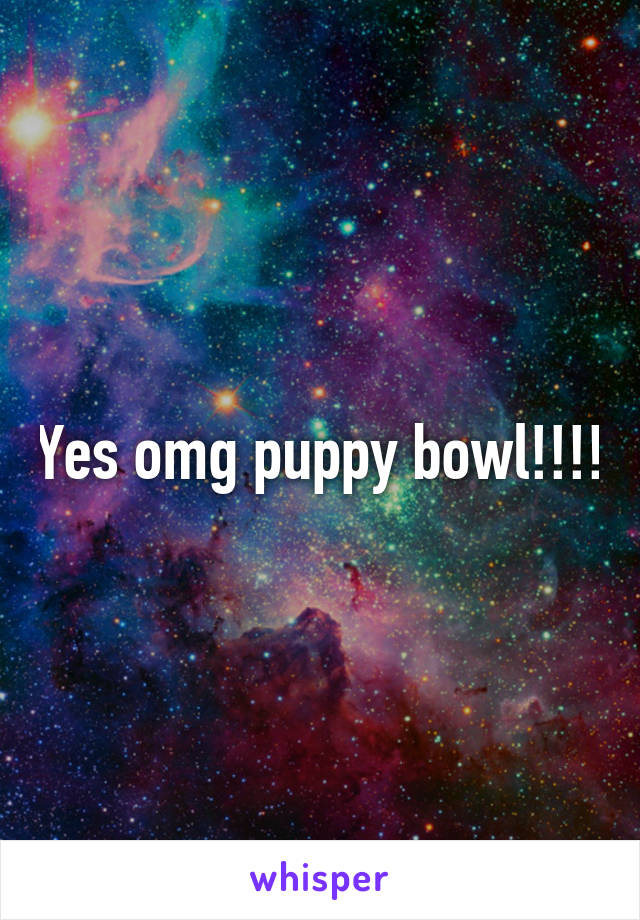 Yes omg puppy bowl!!!!