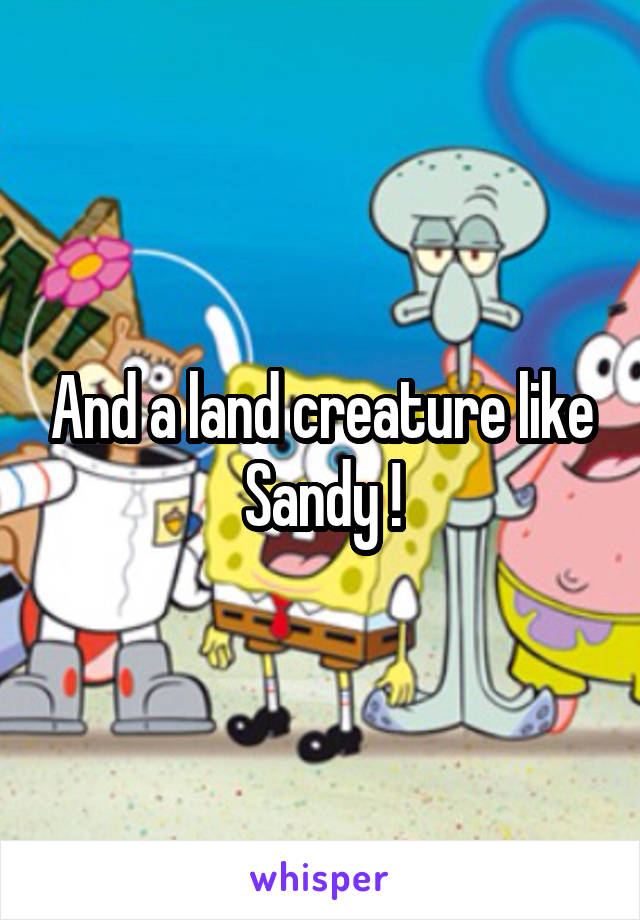 And a land creature like Sandy !