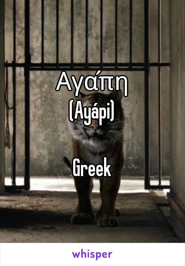 Αγάπη
(Ayápi)

Greek