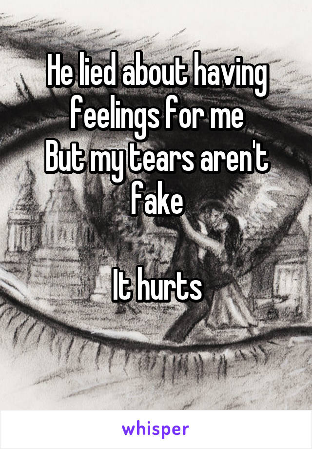 He lied about having feelings for me
But my tears aren't fake

It hurts

