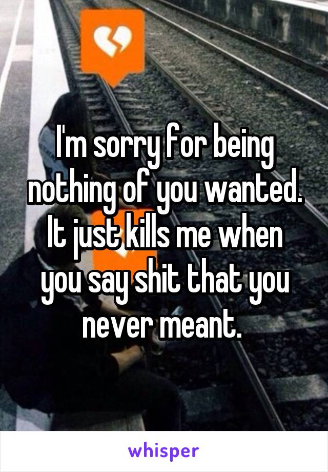 I'm sorry for being nothing of you wanted.
It just kills me when you say shit that you never meant. 