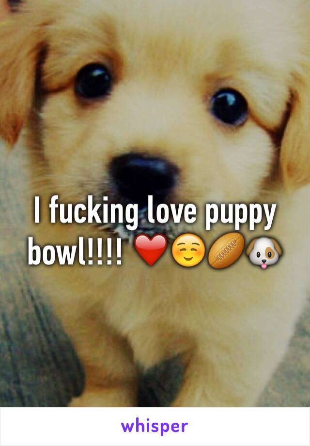 I fucking love puppy bowl!!!! ❤️☺️🏉🐶