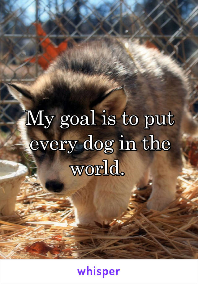 My goal is to put every dog in the world. 