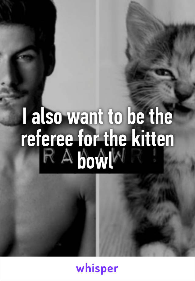 I also want to be the referee for the kitten bowl 