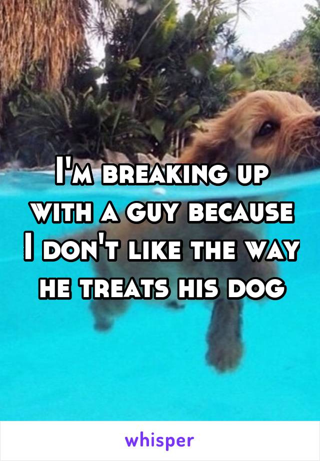 I'm breaking up with a guy because I don't like the way he treats his dog
