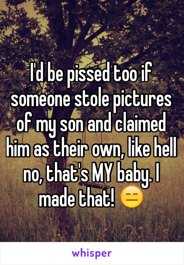 I'd be pissed too if someone stole pictures of my son and claimed him as their own, like hell no, that's MY baby. I made that! 😑 