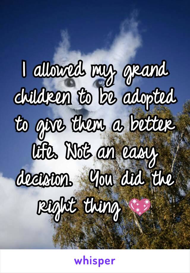 I allowed my grand children to be adopted to give them a better life. Not an easy decision.  You did the right thing 💖