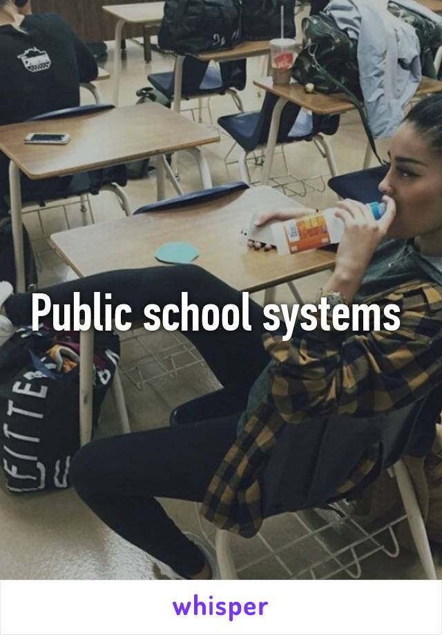 Public school systems 