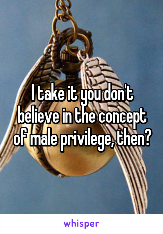 I take it you don't believe in the concept of male privilege, then?