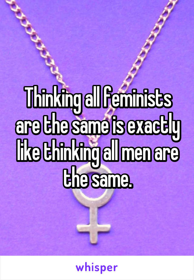 Thinking all feminists are the same is exactly like thinking all men are the same.