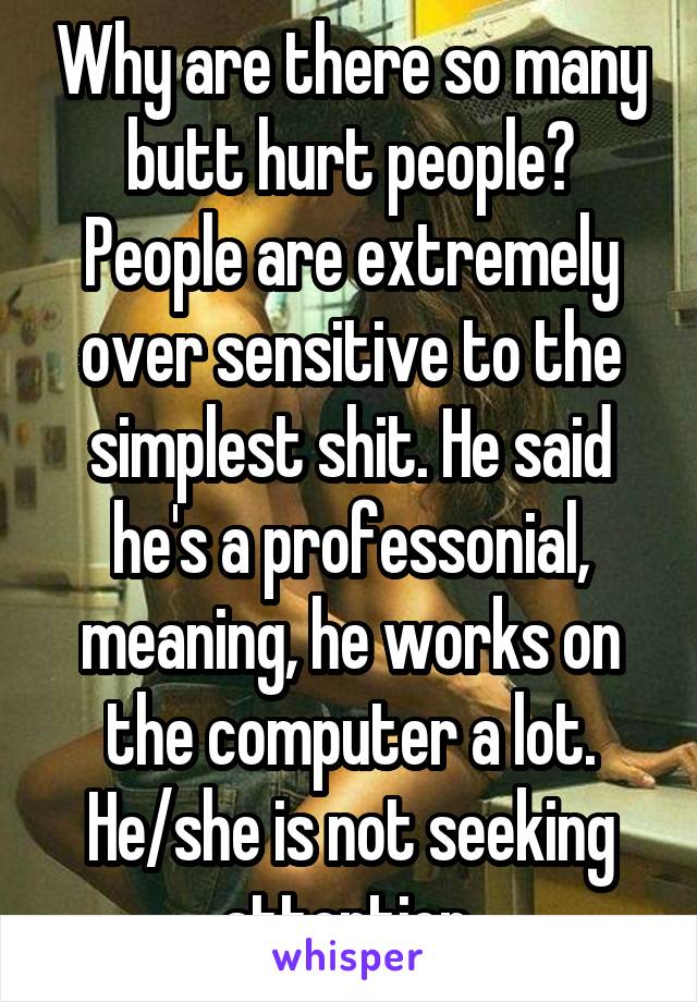 Why are there so many butt hurt people? People are extremely over sensitive to the simplest shit. He said he's a professonial, meaning, he works on the computer a lot. He/she is not seeking attention.