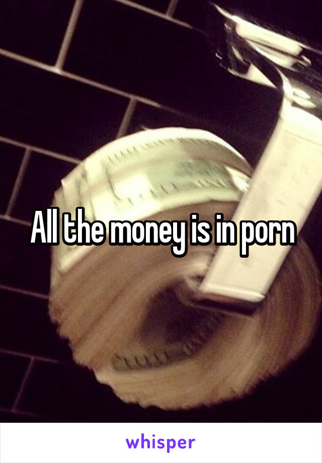 All the money is in porn