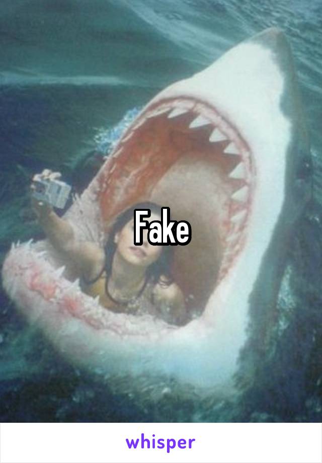 Fake