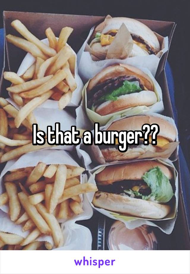 Is that a burger??