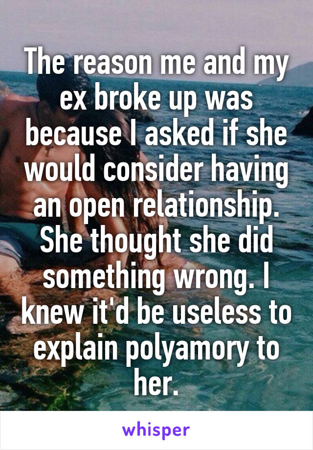 The reason me and my ex broke up was because I asked if she would consider having an open relationship. She thought she did something wrong. I knew it'd be useless to explain polyamory to her.