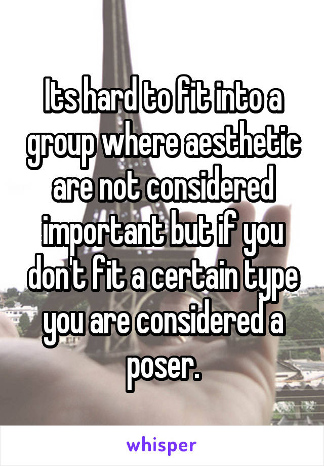 Its hard to fit into a group where aesthetic are not considered important but if you don't fit a certain type you are considered a poser.