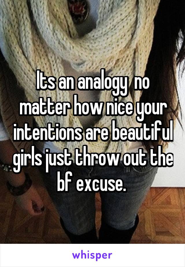 Its an analogy  no matter how nice your intentions are beautiful girls just throw out the bf excuse. 