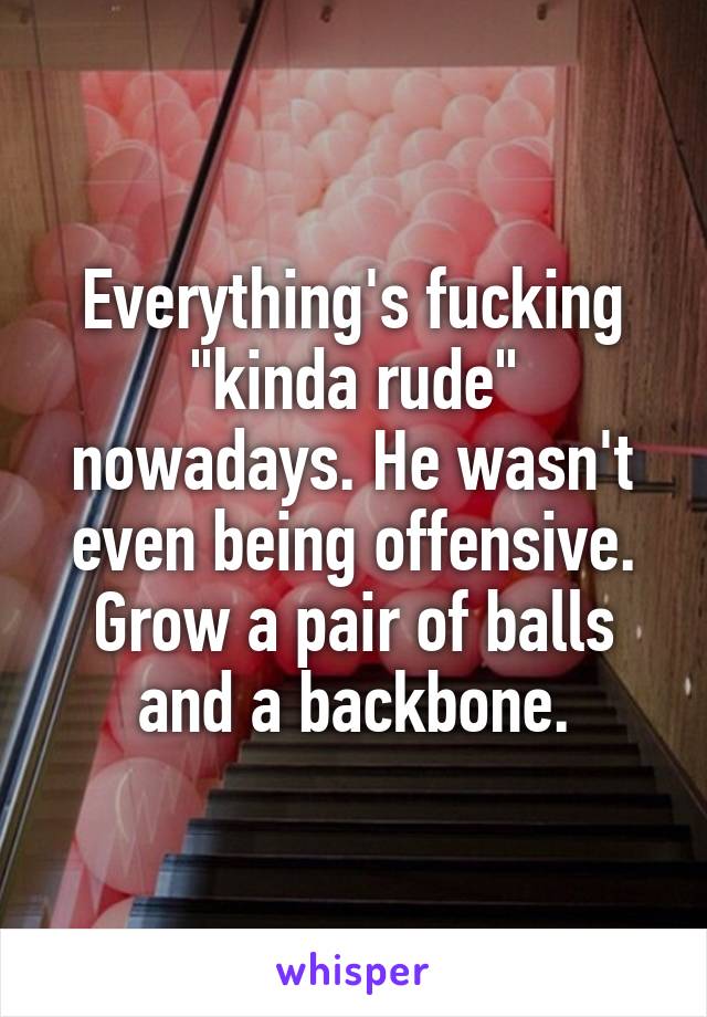 Everything's fucking "kinda rude" nowadays. He wasn't even being offensive. Grow a pair of balls and a backbone.