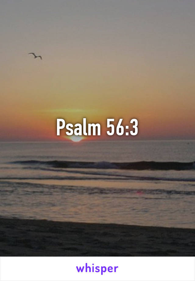 Psalm 56:3
