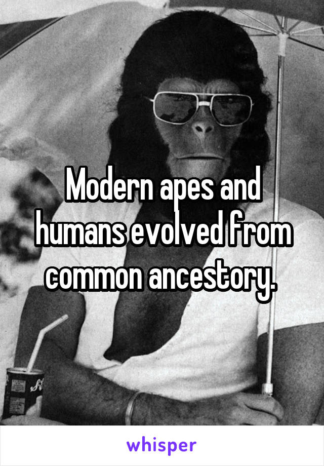 Modern apes and humans evolved from common ancestory. 