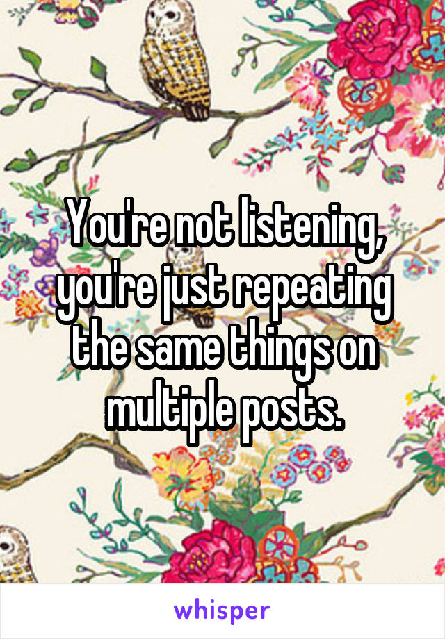 You're not listening, you're just repeating the same things on multiple posts.