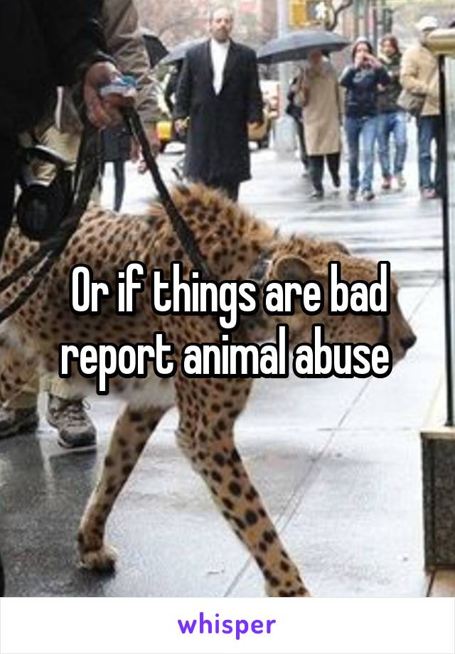 Or if things are bad report animal abuse 