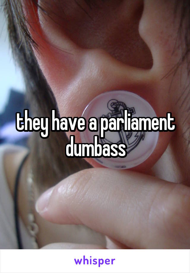 they have a parliament dumbass