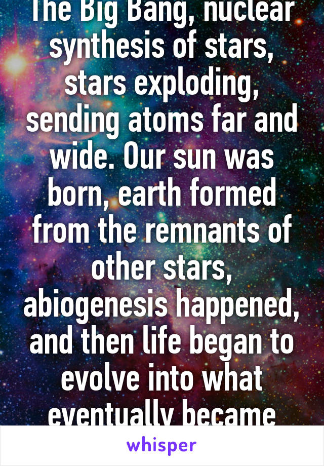 The Big Bang, nuclear synthesis of stars, stars exploding, sending atoms far and wide. Our sun was born, earth formed from the remnants of other stars, abiogenesis happened, and then life began to evolve into what eventually became humans.