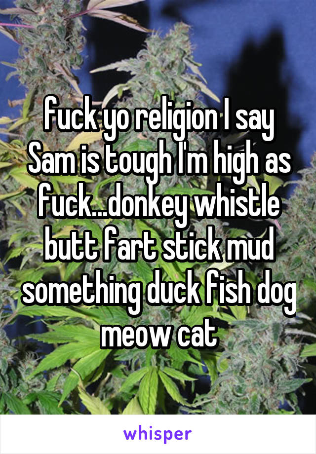 fuck yo religion I say Sam is tough I'm high as fuck...donkey whistle butt fart stick mud something duck fish dog meow cat