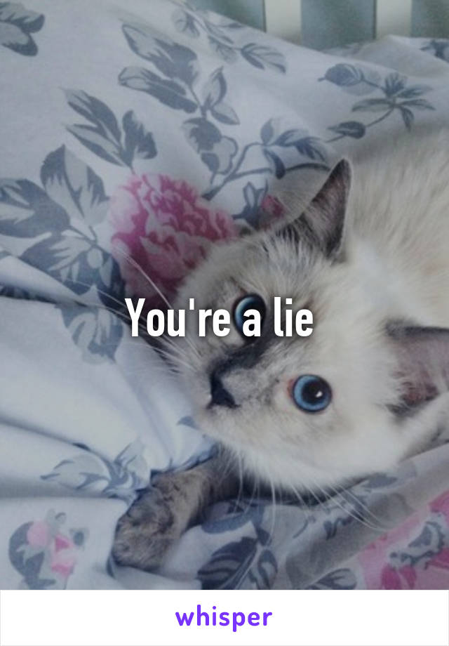 You're a lie 