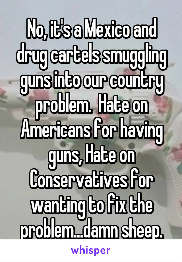 No, it's a Mexico and drug cartels smuggling guns into our country problem.  Hate on Americans for having guns, Hate on Conservatives for wanting to fix the problem...damn sheep.