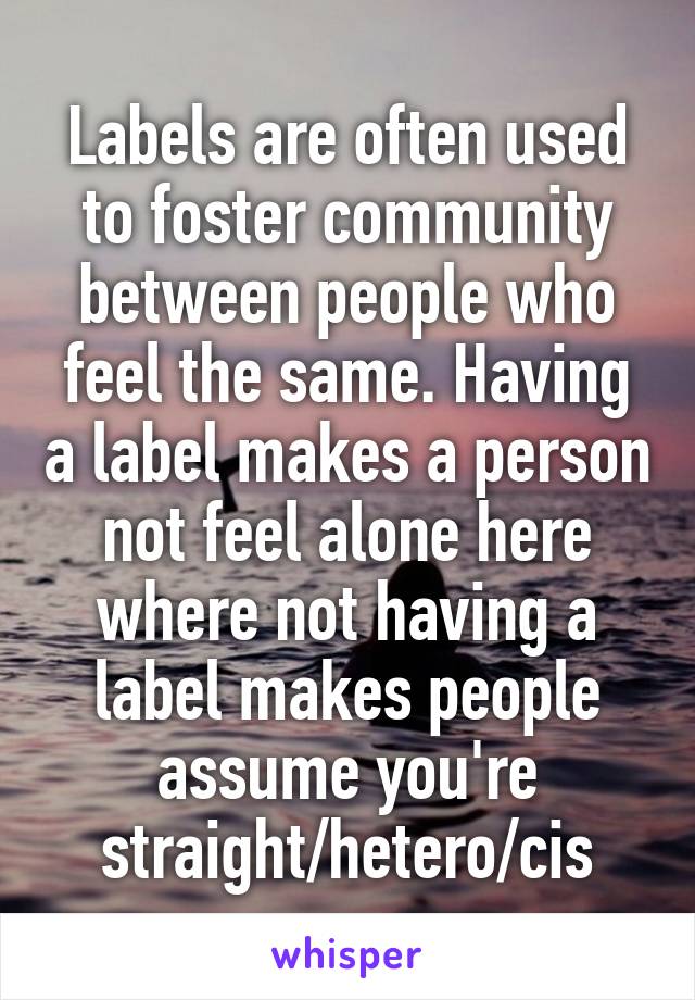 Labels are often used to foster community between people who feel the same. Having a label makes a person not feel alone here where not having a label makes people assume you're straight/hetero/cis