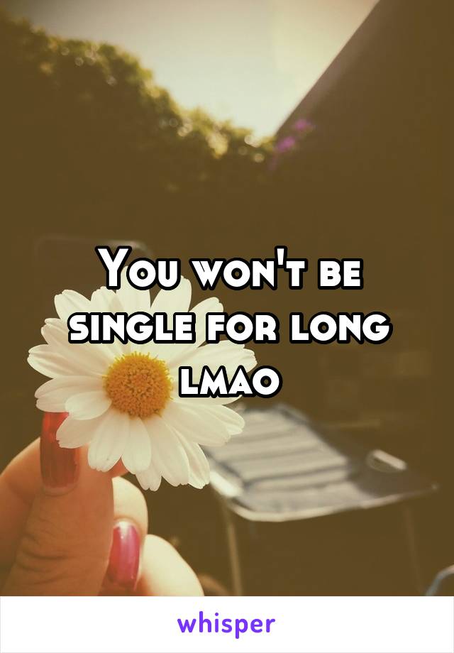 You won't be single for long lmao