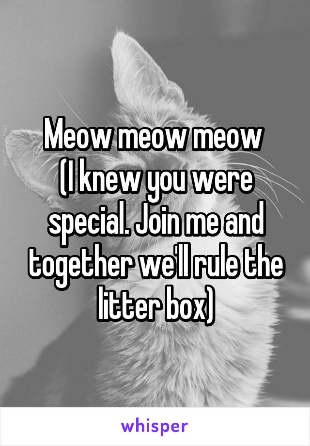 Meow meow meow 
(I knew you were special. Join me and together we'll rule the litter box)