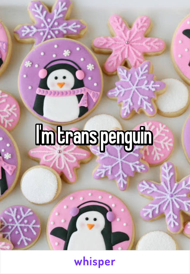 I'm trans penguin 