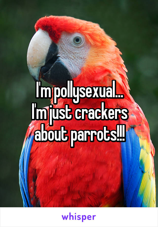 I'm pollysexual...
I'm just crackers about parrots!!!