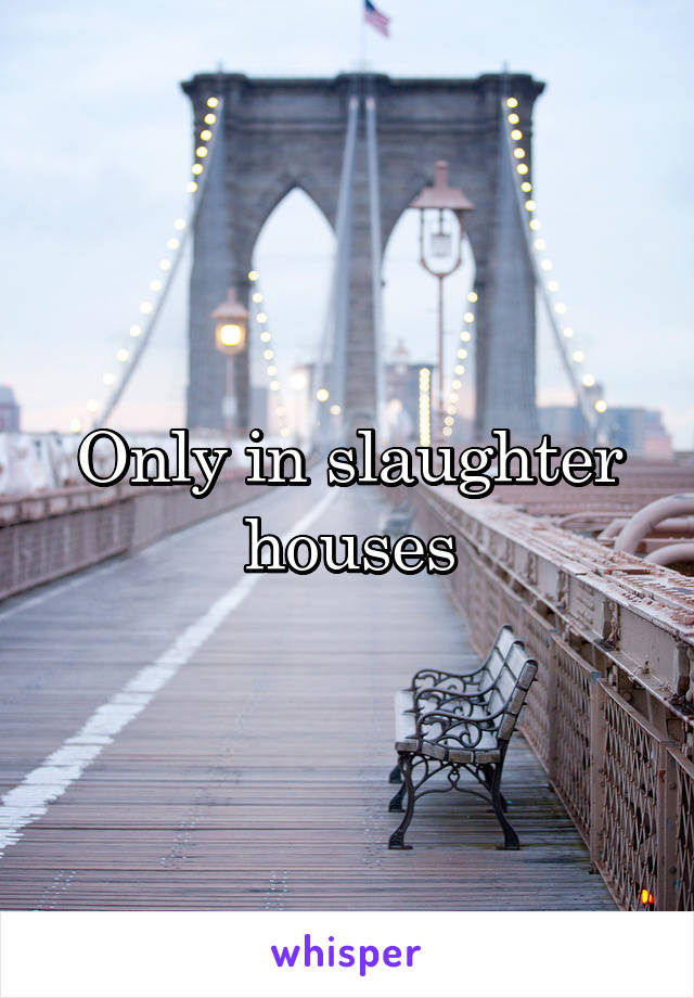 Only in slaughter houses