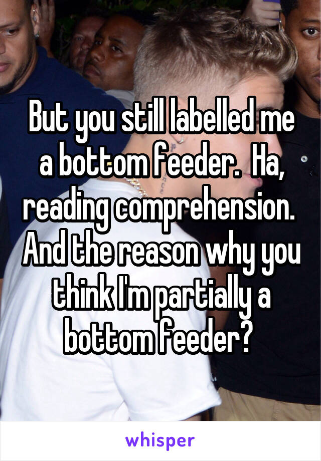 But you still labelled me a bottom feeder.  Ha, reading comprehension.  And the reason why you think I'm partially a bottom feeder? 