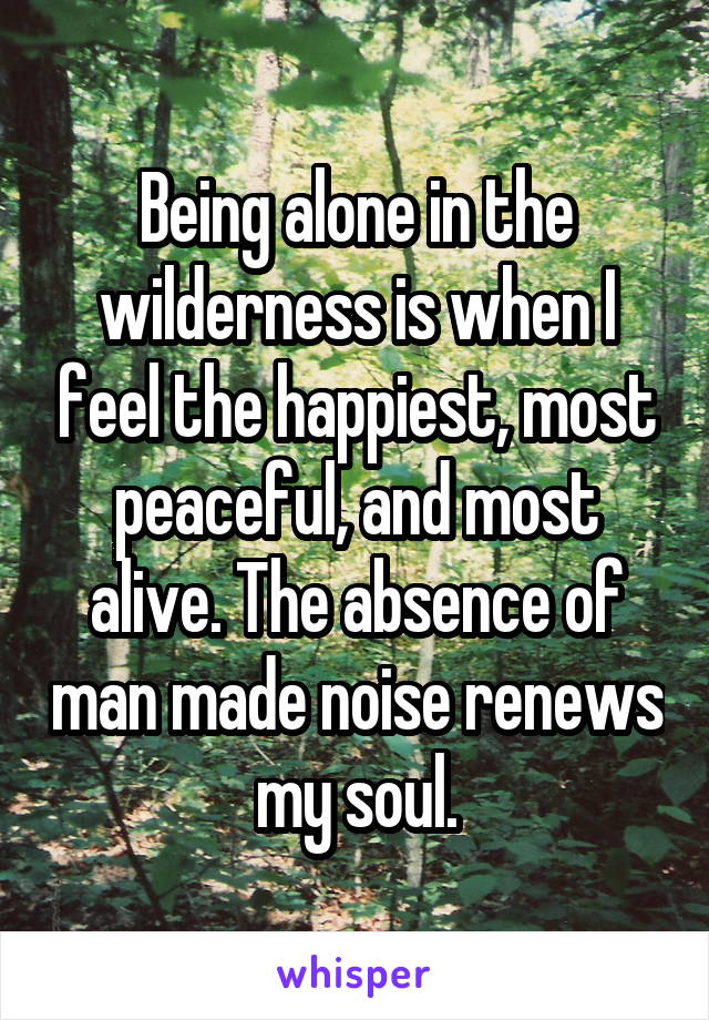 Being alone in the wilderness is when I feel the happiest, most peaceful, and most alive. The absence of man made noise renews my soul.