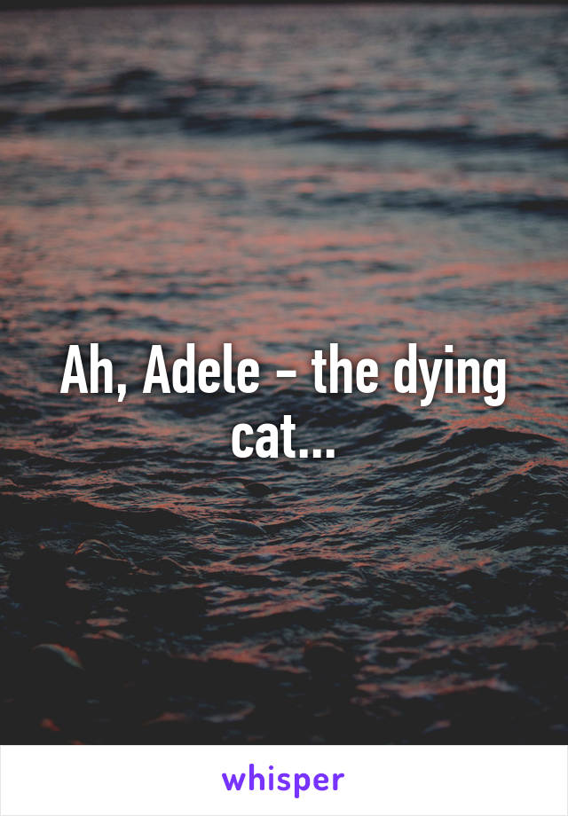 Ah, Adele - the dying cat...