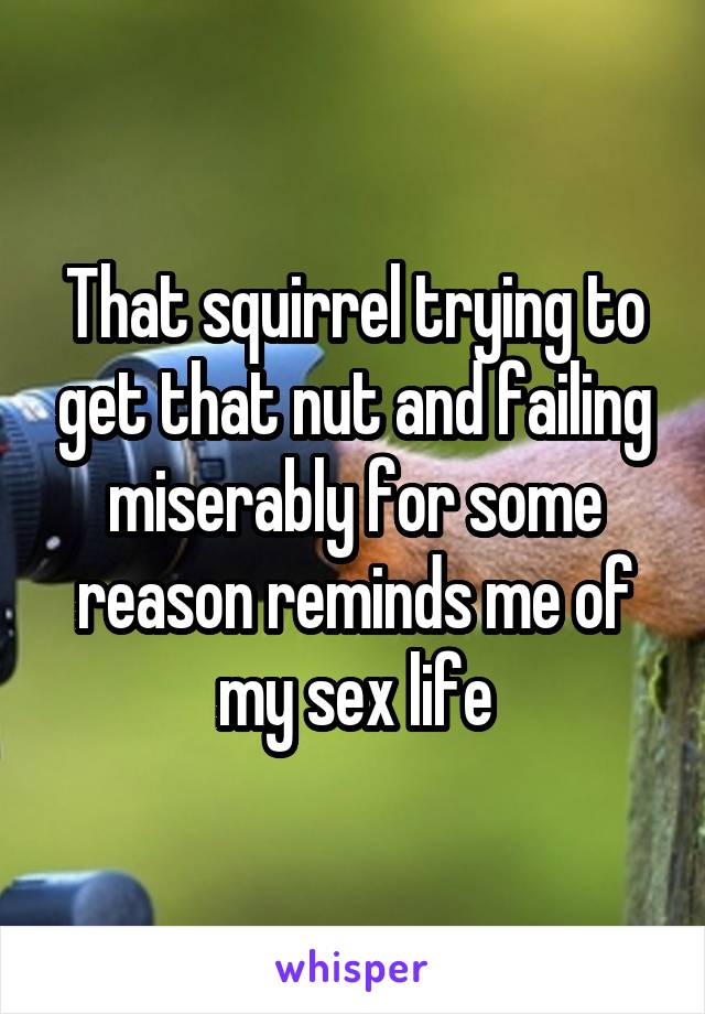 That squirrel trying to get that nut and failing miserably for some reason reminds me of my sex life
