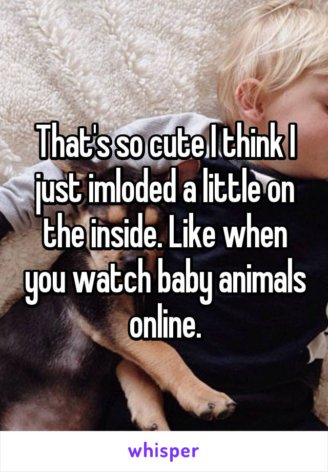 That's so cute I think I just imloded a little on the inside. Like when you watch baby animals online.