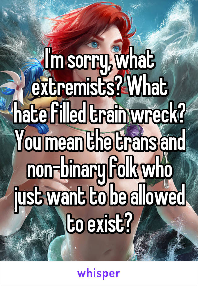 I'm sorry, what extremists? What hate filled train wreck? You mean the trans and non-binary folk who just want to be allowed to exist?